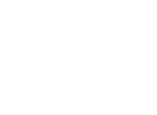 Commercial Litigation